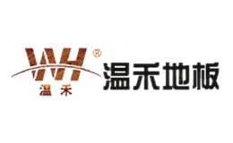 安徽溫禾新材料科技股份有限公司