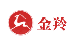 南京化纖股份有限公司