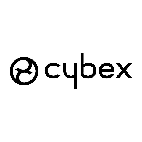 十大知名兒童安全座椅品牌排行榜 最值得信賴的嬰兒安全座椅推薦
