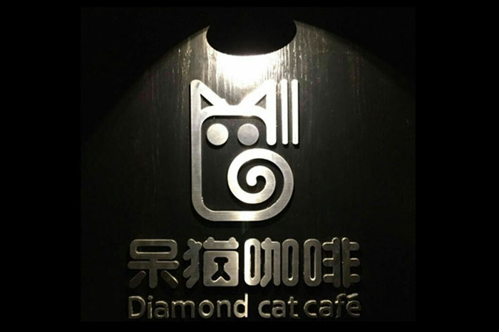 星巴克我不愛你了，因為我遇見了呆貓1