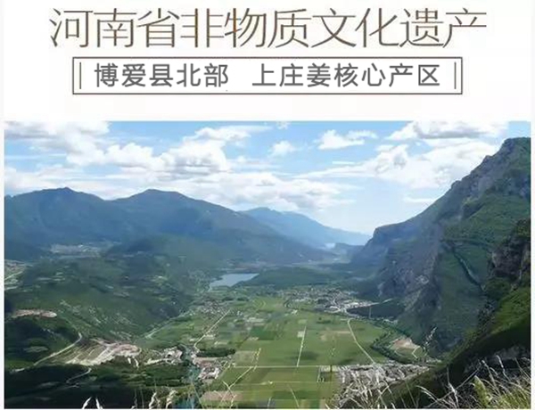 央視報道推薦的懷姜糖膏牌子_上莊姜糖膏的品牌故事 央視報道推薦的懷姜糖膏牌子_上莊姜糖膏的品牌故事