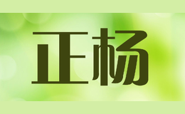 遼寧正楊管業(yè)有限公司